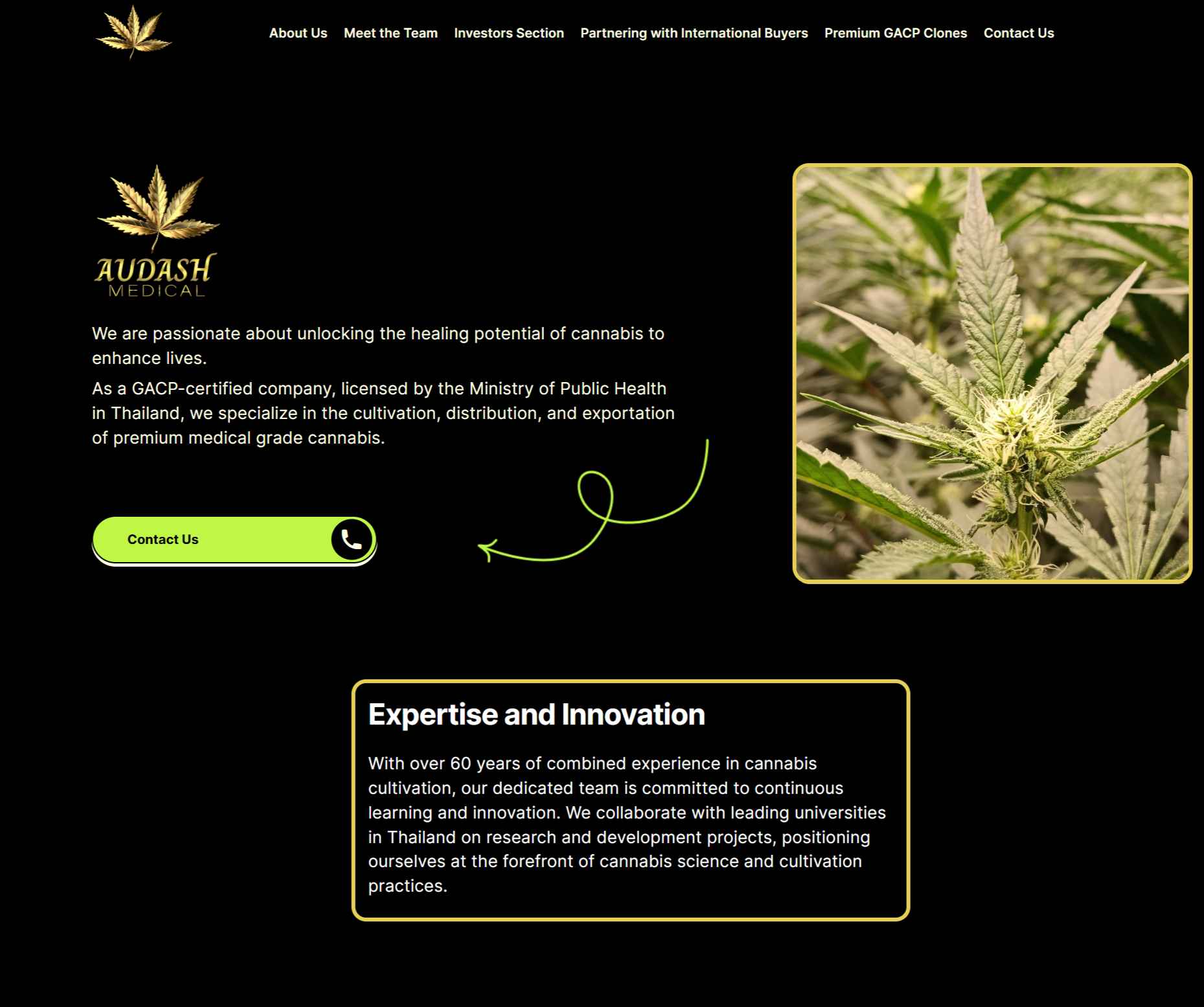 thaicannabiswholesale